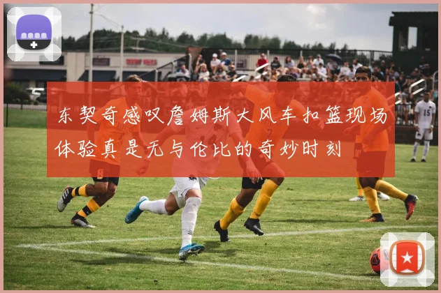 东契奇感叹詹姆斯大风车扣篮现场体验真是无与伦比的奇妙时刻