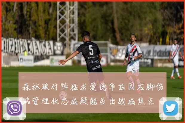 森林狼对阵猛龙爱德华兹因右脚伤病管理状态成疑能否出战成焦点